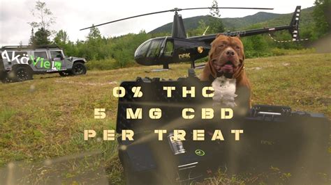 Dark Dynasty K9 CBD Dog Treats – HigherHealthCBD