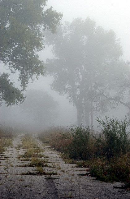 Abandoned road | Abandoned, Scenery, Fantasy landscape