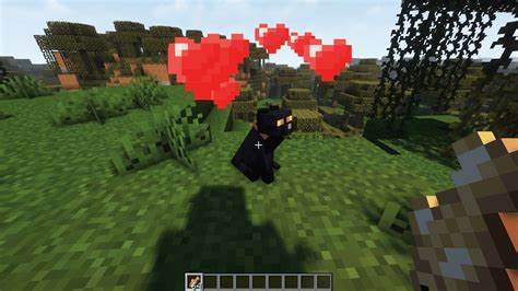 How to Tame a Cat in Minecraft - VideoGamer