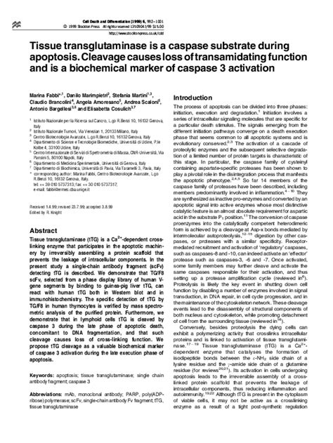 (PDF) Tissue transglutaminase is a caspase substrate during apoptosis ...