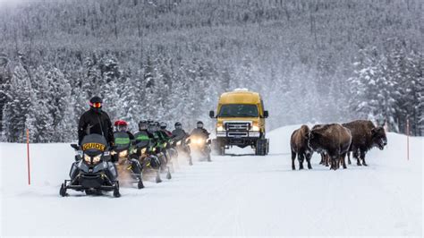 Yellowstone Winter Tours on Snowcoach, Snowmobiles, Skis, Snowshoes and ...