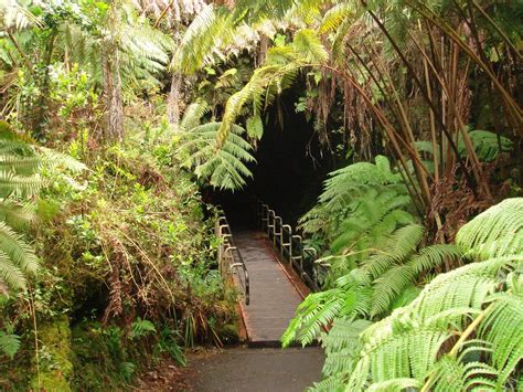 Nāhuku - Thurston Lava Tube, Volcano National Park, Big Island, Hawaii | Big island hawaii ...