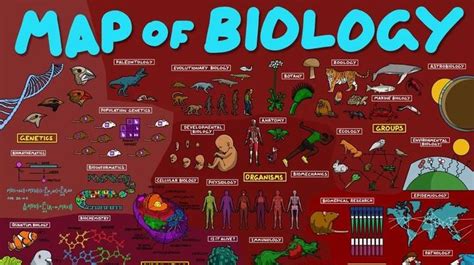 通往生物学世界的地图：细胞内部、遗传学、生物体、医学和群体 - 知乎