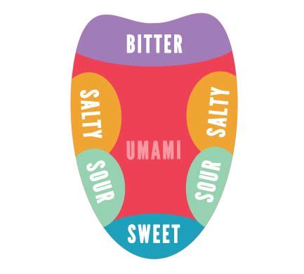 What is Umami? | Senses preschool, Taste sense, Senses