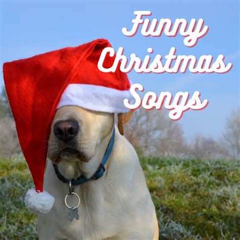 47 Funny Christmas Songs. Add some humor to your holiday season with a playlist of funny pop ...