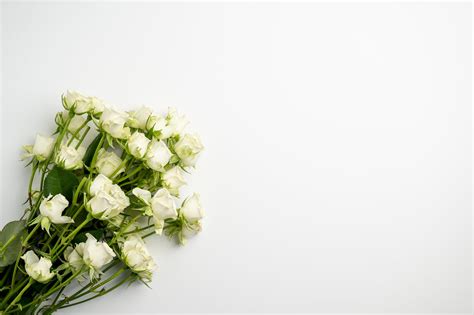 Fresh flowers placed on white table · Free Stock Photo