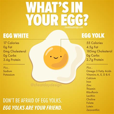 Benefits Of Egg Yolks