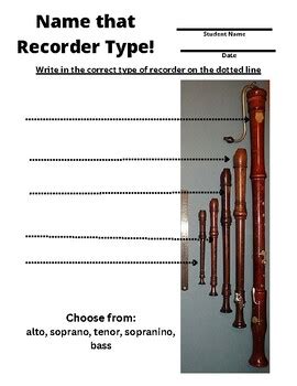 Different Recorder Types Worksheet (Great for elementary music class)