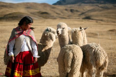 Países andinos se beneficiarán con proyecto de adaptación a impactos del cambio climático sobre ...