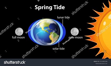 Neap Tide Diagram