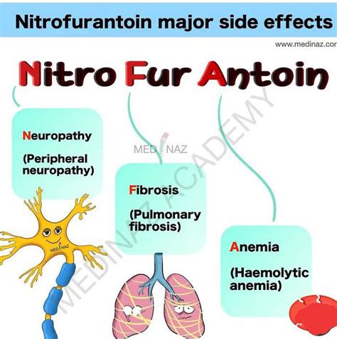 Side Effects of Nitrofurantoin-mnemonic - MEDizzy