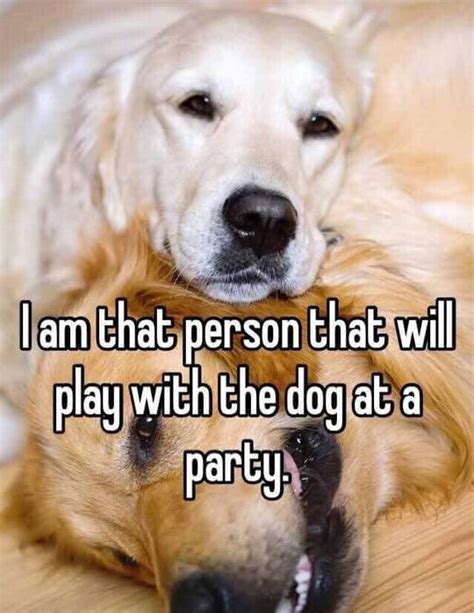 That Will Be Me quotes party animals dogs dog animal funny quote funny ...