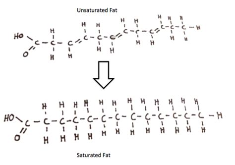 Hydrogenation | Discover Magazine