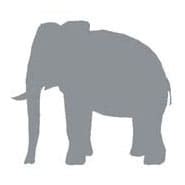 Elephant | Urbane Living