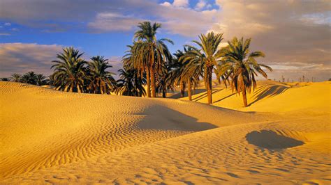 Tunisia, Africa, Desert oasis