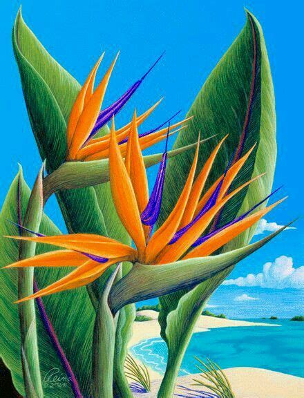 Painting & Drawing, Flower Painting, Flower Art, Watercolor Paintings, Tropical Painting ...