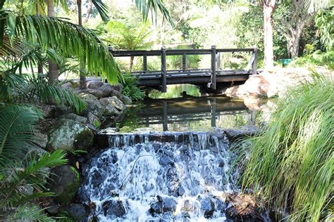 Gold Coast Regional Botanic Gardens Benowa | Must Do Brisbane