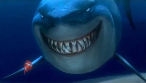 Great white shark bears strong resemblance to Bruce in 'Finding Nemo' - Men's Journal