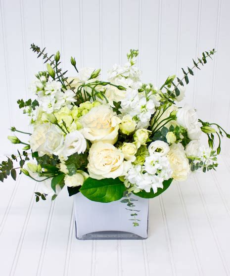 Hydrangea & Roses Flower Delivery Yonkers & White Plains, New York