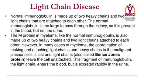 PPT - Multiple Myeloma PowerPoint Presentation, free download - ID:1563891