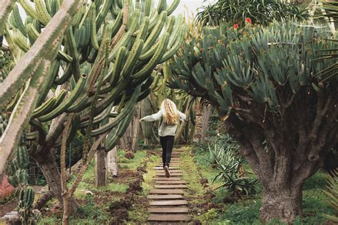 Botanical Gardens Madeira – A Green Escape in Funchal (2024)