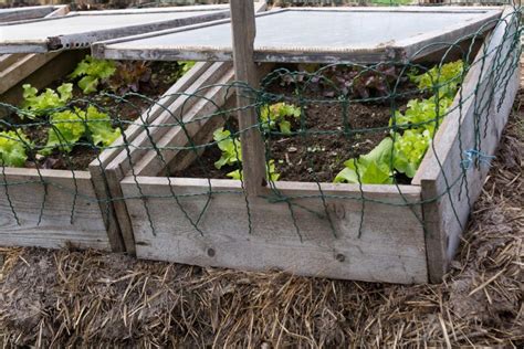 Easy To Build: DIY Cold Frame Gardening Steps - A Green Hand