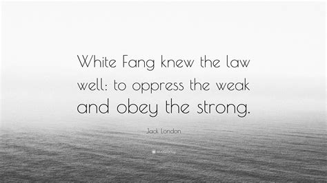 Jack London Quote: “White Fang knew the law well: to oppress the weak and obey the strong.”