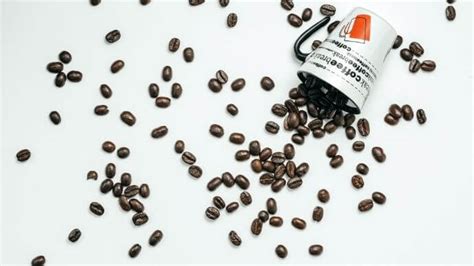 9 Best Dark Roast Coffee Beans (They Can’t Be This Good!) - Il ...