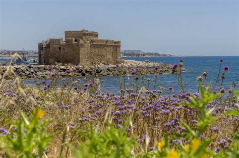 Kato Paphos Archaeological Park - UNESCO Heritage Site & Great Coastal ...