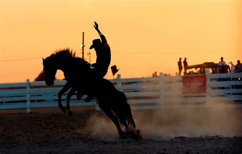 🔥 Download Photo Wallpaper Horse Rider Rodeo Stallion by @dennisneal | Rodeo Backgrounds, Rodeo ...