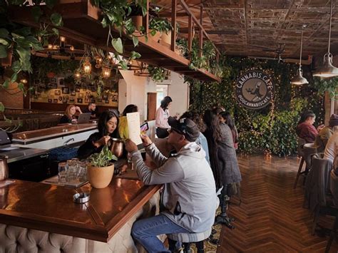 A Look At America's First Weed Restaurant: The Original Cannabis Cafe