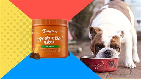 Best Dog Probiotics | Reviews of the Best Probiotics for Dogs | Retrievist