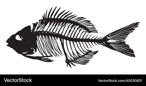 Silhouette of a fish skeleton Royalty Free Vector Image