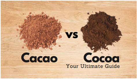 Cacao vs Cocoa - What is what and if Better? — Artisanal Australia