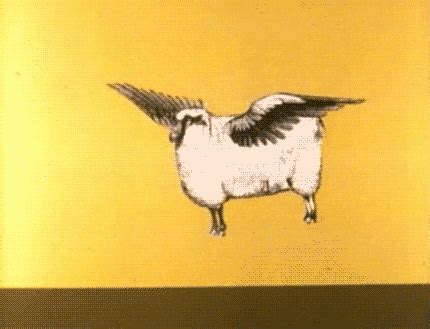 Flying Sheep GIFs - Find & Share on GIPHY