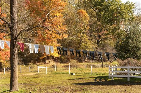 How to Get Lost in Ohio’s Amish Country | Amish country, Ohio travel, Amish