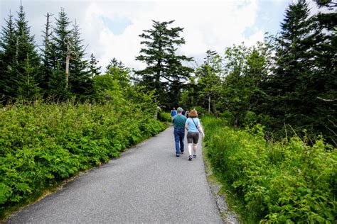 Clingmans Dome Hike