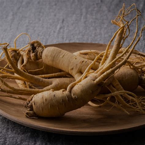 Panax Ginseng - Benefits | Dosage | Side Effects