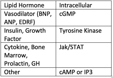 Signaling Pathways of Endocrine Hormones Flashcards | Quizlet