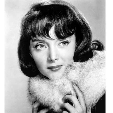 Queen of the day 💋 #carolynjones #actress #hollywoodactress #oldhollywood #1960s #queen # ...