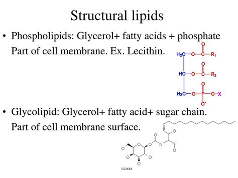 PPT - Types of Organic compounds PowerPoint Presentation, free download - ID:465419