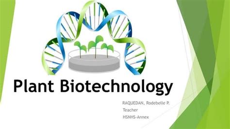 Traditional vs modern biotechnology