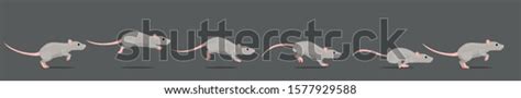 2,081 Mouse Animation Images, Stock Photos, and Vectors | Shutterstock