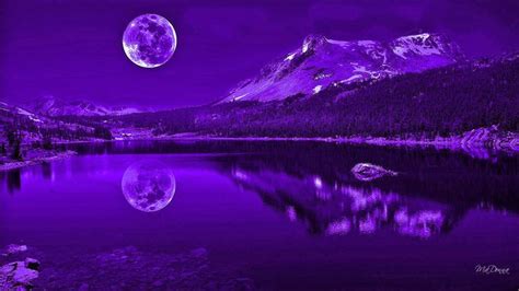 Purple Nights Reflection #reflection full moon #mysterious #lake # ...