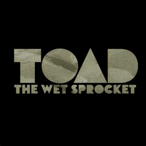 Toad The Wet Sprocket: best songs · discography · lyrics