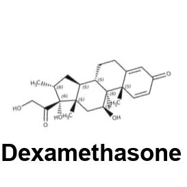 Neomycin and polymyxin b sulfates and dexamethasone ophthalmic ointment for cats