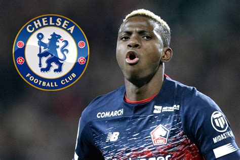 Chelsea, Spurs, and Liverpool face move fight for Lille's Nigerian star Victor Osimhen - Espbr ...