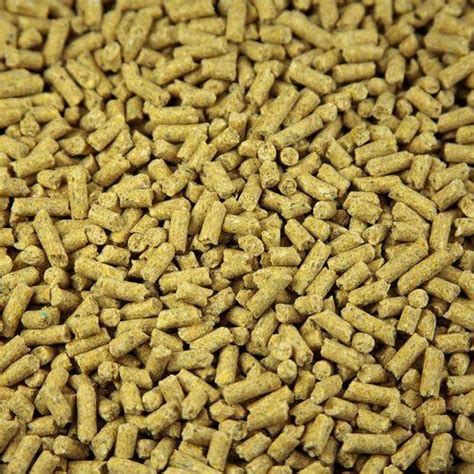 Cattle Feed Pellets - Manufacturer Exporter Supplier from Indore India