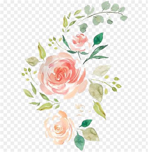 Free Watercolor Pencil Hand Drawn Flowers - Hand Drawn Flowers PNG Transparent With Clear ...