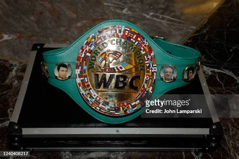 Wbc Lightweight Title Photos and Premium High Res Pictures - Getty Images